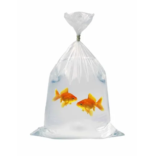 8″x17″ 250g Watertight Bags Box Of 1000
